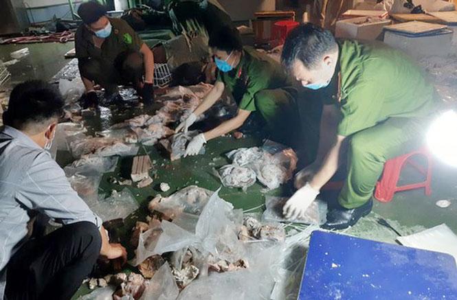 Hà Nội: Phát hiện hàng trăm kg ma túy giấu tinh vi trong dạ dày lợn