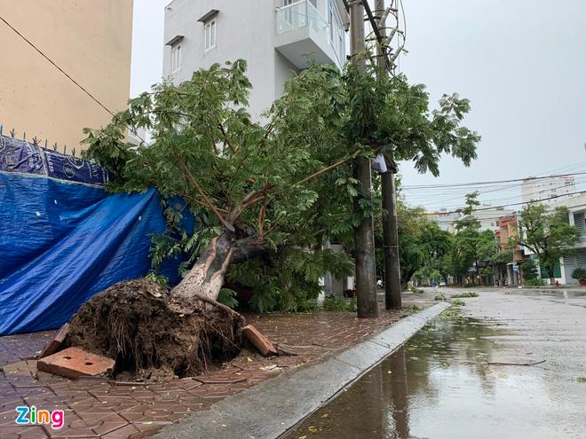 Những hình ảnh đầu tiên khi bão số 9 đổ bộ vào Đà Nẵng