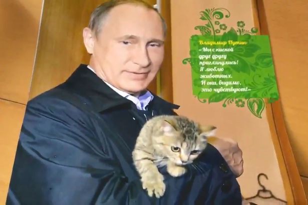 Ảnh Tổng thống Nga Vladimir Putin ôm mèo trên bộ lịch 2017.