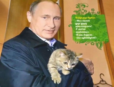 Hình ảnh Putin ôm mèo lên lịch 2017