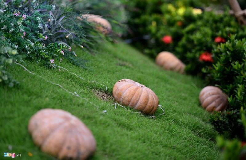 Bên cạnh đó những quả bí ngô thật cũng được đặt trên thảm cỏ xanh mượt.