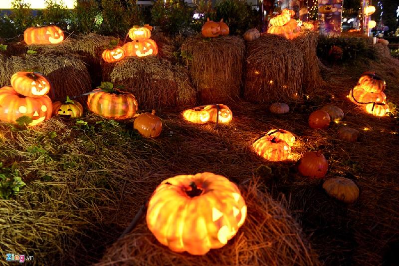 Vào ban đêm, chúng được thắp sáng bằng đèn điện, nên lung linh hơn. Bí ngô được biết đến với biểu tượng không thể thiếu của lễ hội Halloween ở các nước phương Tây dịp cuối tháng 10 hàng năm.