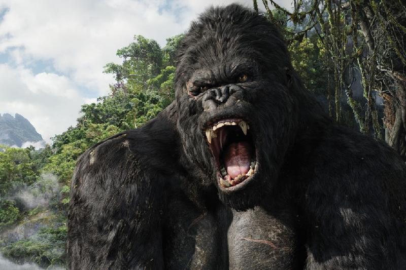 Dan sao ‘King Kong’ (2005) sau 12 nam hinh anh 1