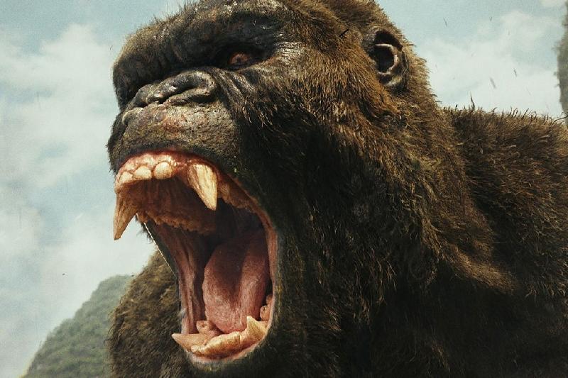 Dan sao ‘King Kong’ (2005) sau 12 nam hinh anh 2