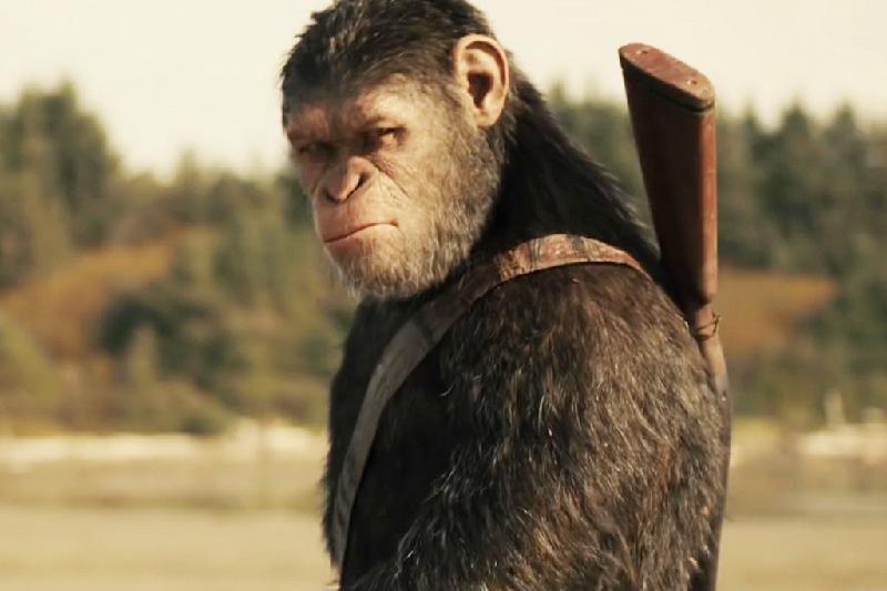 Dan sao ‘King Kong’ (2005) sau 12 nam hinh anh 16