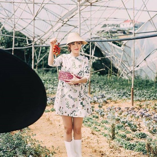 Ca sĩ Bích Phương trẻ trung, dịu dàng với hình ảnh cô gái nông thôn khi đi thu hoạch cà chua.
