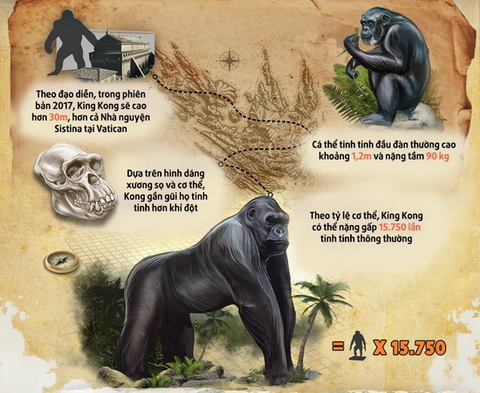 'Kong: Skull Island': Kong to lớn tới mức nào ở ngoài đời thật