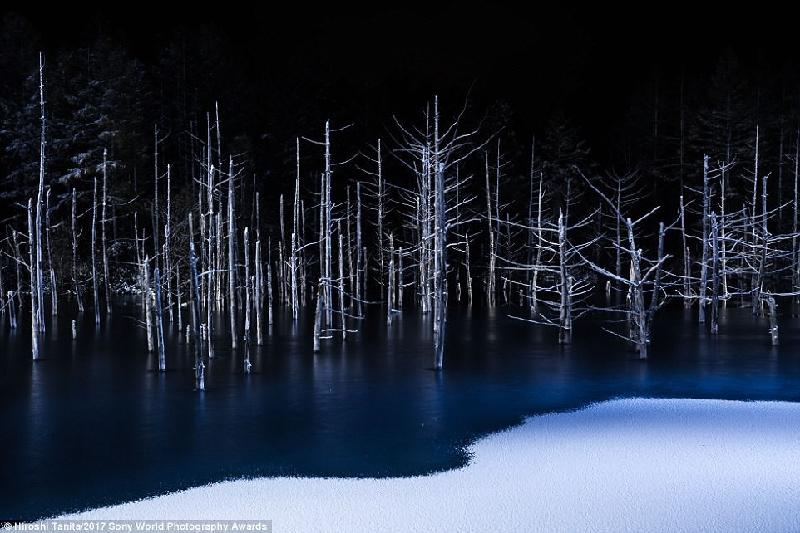 Bức ảnh mang cảm giác lạnh lẽo về một hồ nước bị đóng băng một phần của tác giả Hiroshi Tanita.