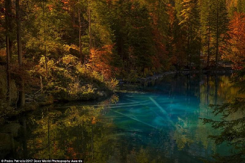 Vẻ đẹp huyền bí của một hồ nước và rừng cây ở Bernon Bernese Bern, Thụy Sĩ. Ảnh: