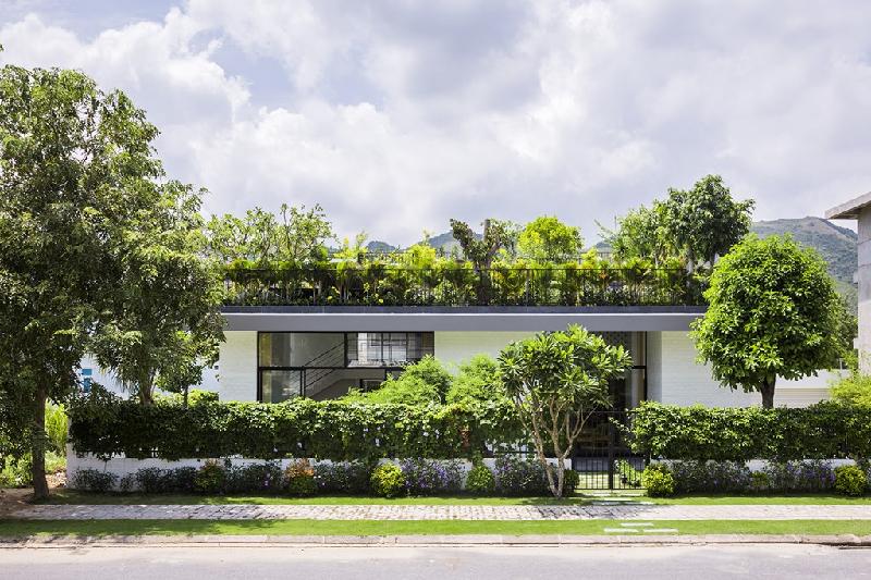 Nhìn từ mặt đường, căn nhà như được bao phủ hoàn toàn bởi cây xanh.