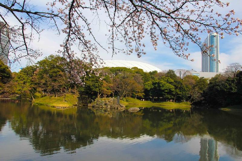 Công viên với cây anh đào cổ thụ soi mình bên dòng suối, hồ nước tĩnh lặng là nơi thưởng hoa yêu thích của người dân Nhật Bản và du khách. Không khí trong lành, yên tĩnh, tiếng nước chảy êm êm khiến khung cảnh bội phần thi vị.