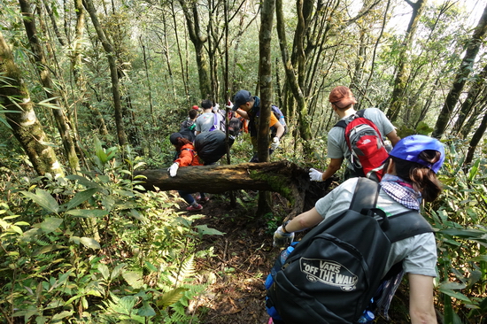 Chinh phục những vách núi cheo leo là một trải nghiệm cực kỳ thú vị với những người thích trekking