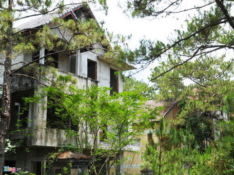 Cỏ dại phủ kín hàng loạt biệt thự bỏ hoang ở Kon Tum