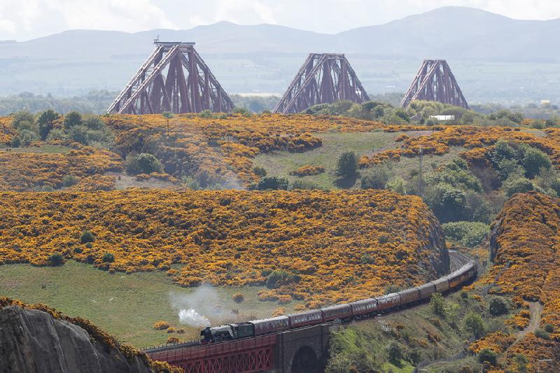 Công nghiệp: Cây cầu Forth nổi bật trên nền trời khi đoàn tàu chạy hơi nước mang tên Flying Scotsman băng qua những cánh rừng bạt ngàn để đến Edinburgh, Scotland. Ảnh: Reuters.