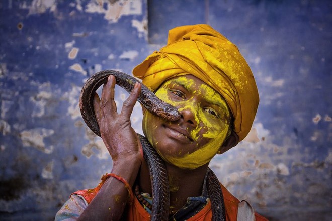 Một cậu bé và con rắn trong lễ hội Holi của người Hindu ở Ấn Độ. (Nguồn: NatGeo)