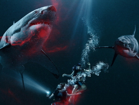 Nghẹt thở trò chơi  ngắm cá mập trong 'Hung thần đại dương'