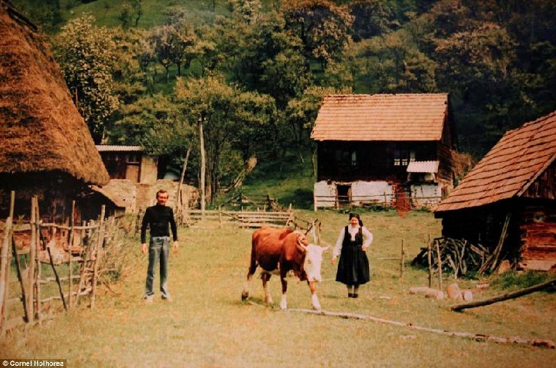 Khoảng 300 gia đình đã nhận tiền đền bù và tản ra sống ở các vùng đất khác của Romania vào năm 1977.