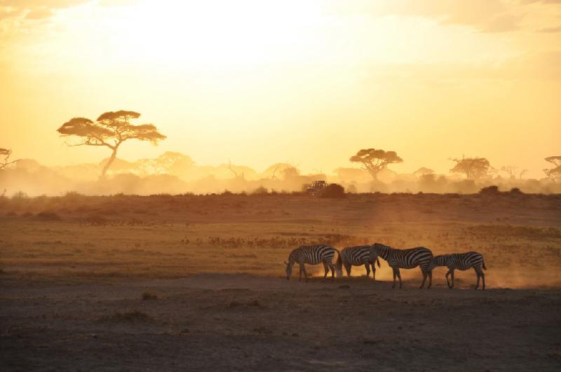 Những công viên hoang dã tại Kenya là nơi mà bạn sẽ đồng ý trả tiền để được thức giấc sớm, đón ánh bình minh trong những “khoảnh khắc vàng”. Trong ảnh là cảnh bình minh trong Vườn Quốc gia Amboseli. Ảnh: 