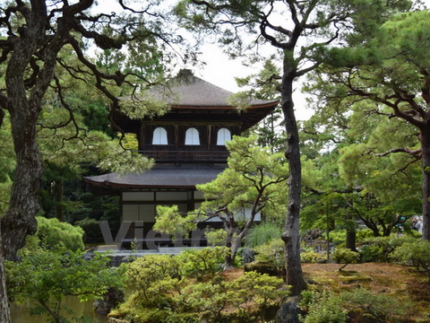 Khám phá văn hóa Nhật Bản qua các ngôi chùa ở Kyoto