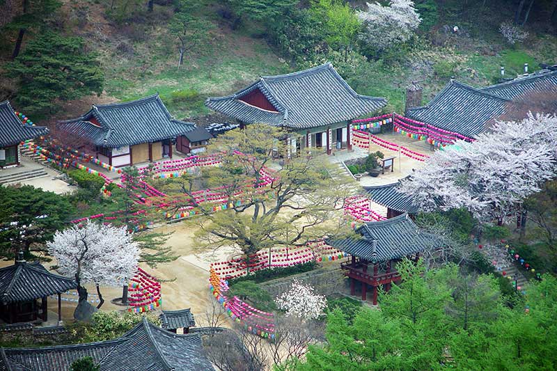 Incheon- điểm đến của những tâm hồn yêu Hàn Quốc đích thực