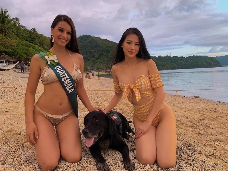 Phương Khánh gợi cảm lấn át thí sinh Hoa hậu Trái đất khi diện bikini